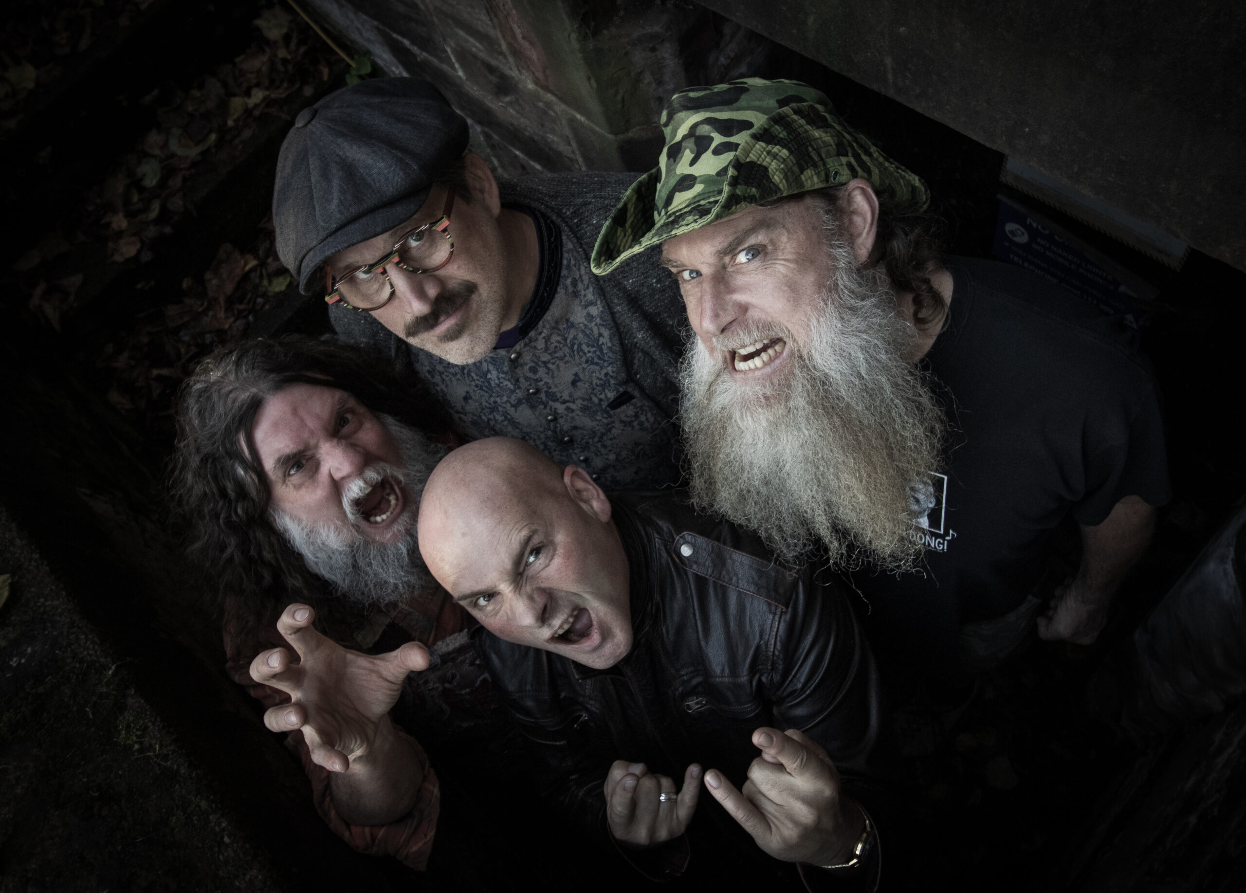 Hayseed Dixie
